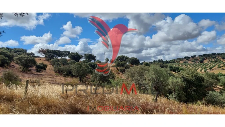 Terreno para Venda em Avis Foto 1