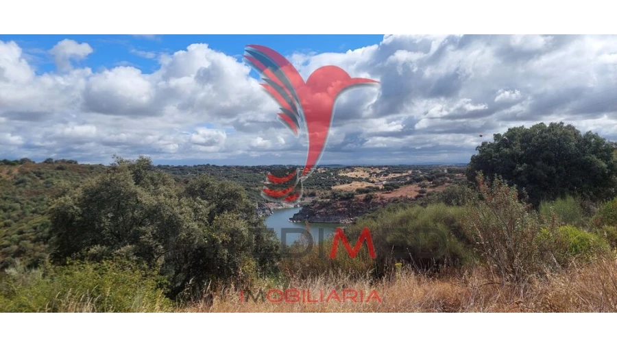 Terreno para Venda em Avis Foto 2