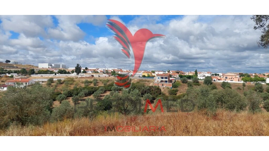 Terreno para Venda em Avis Foto 3