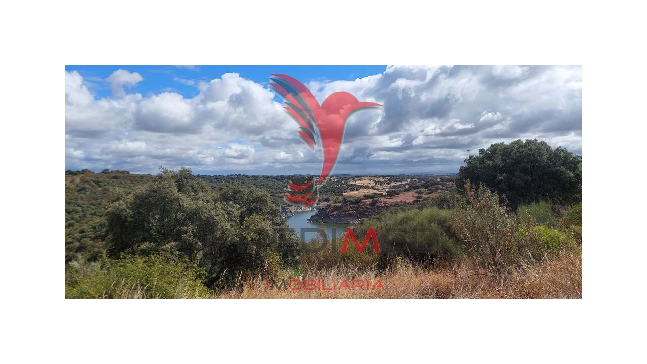 Terreno para Venda em Avis Foto 2