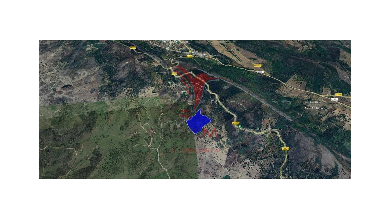 Terreno para Venda em Reguengo e São Julião Foto 1
