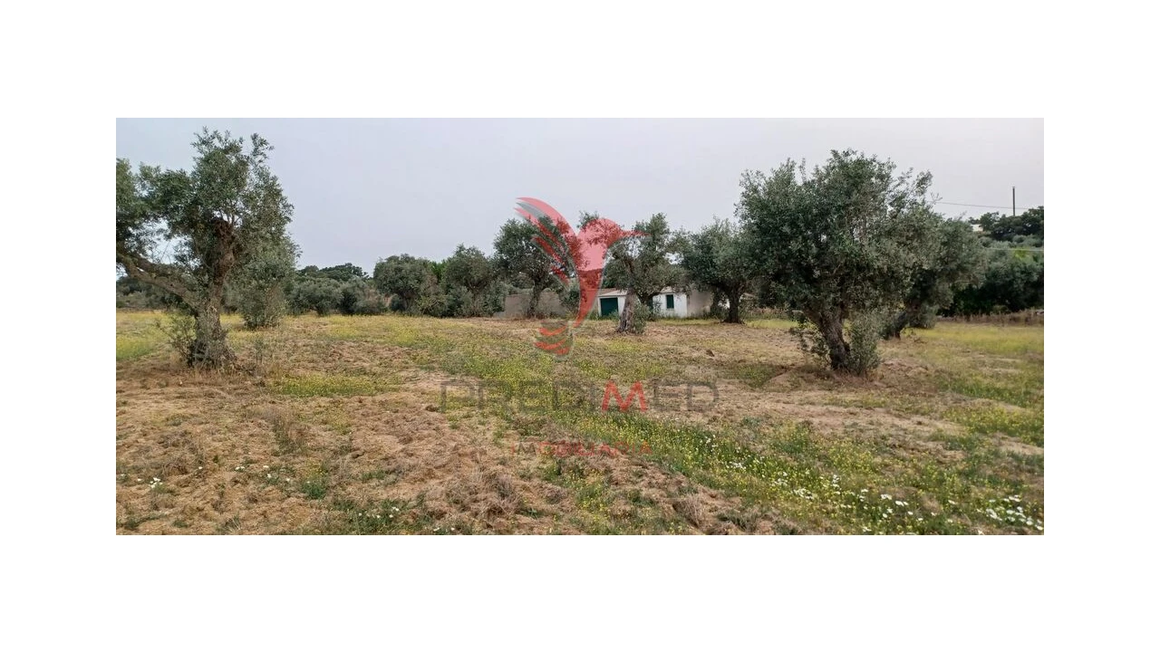 Terreno para Venda em Espírito Santo, Nossa Senhora da Graça e São Simão Foto 6