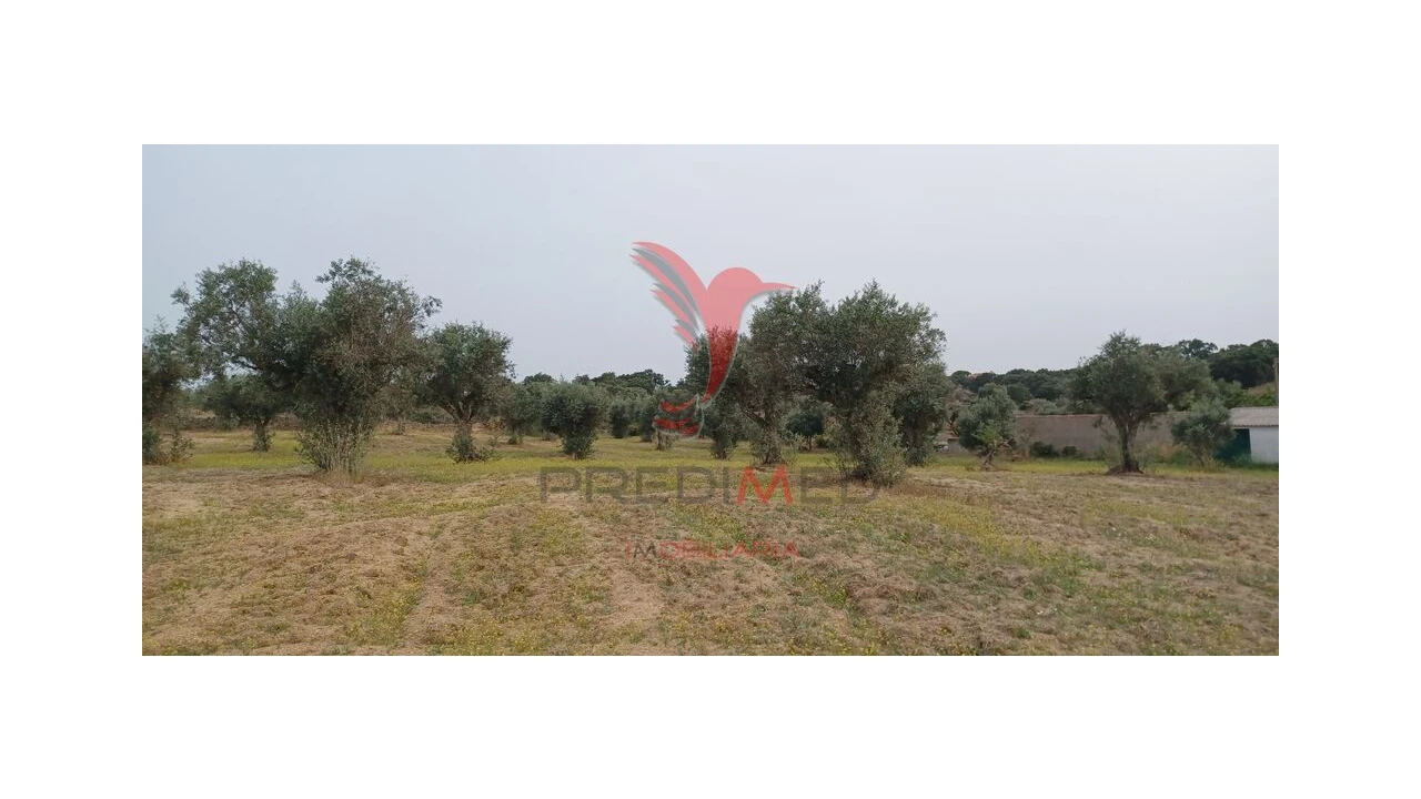 Terreno para Venda em Espírito Santo, Nossa Senhora da Graça e São Simão Foto 8