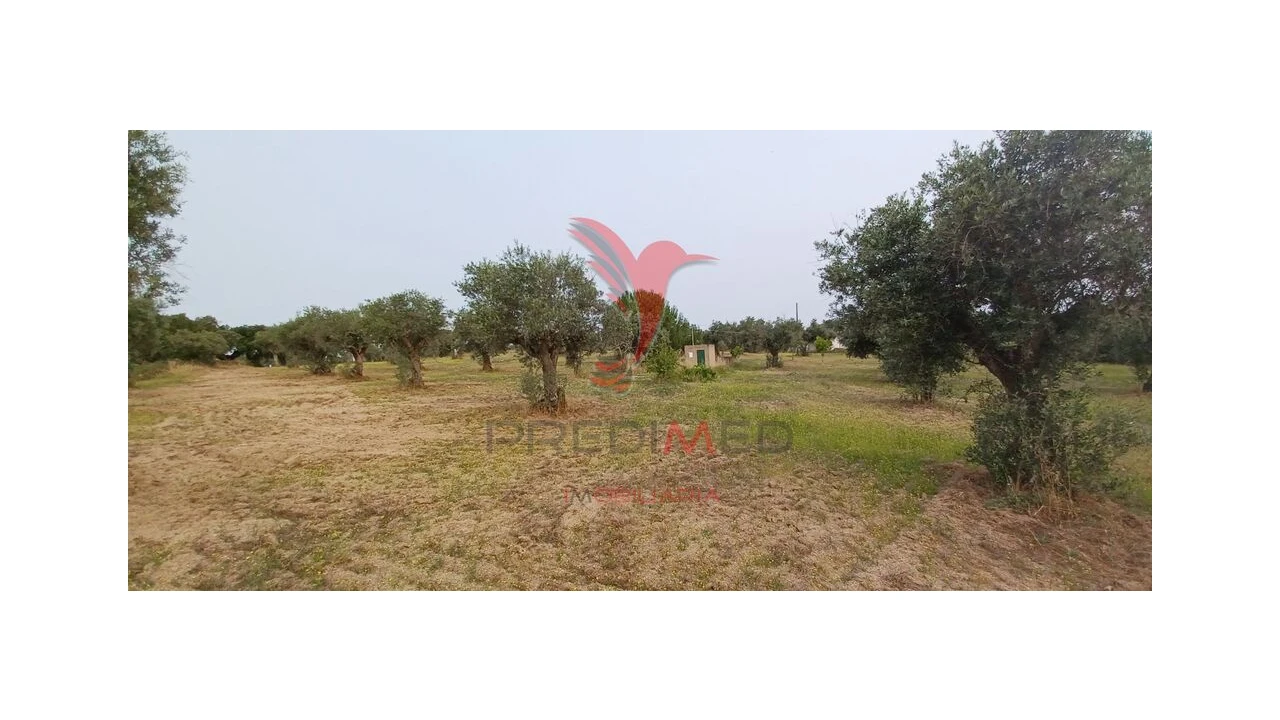 Terreno para Venda em Espírito Santo, Nossa Senhora da Graça e São Simão Foto 4