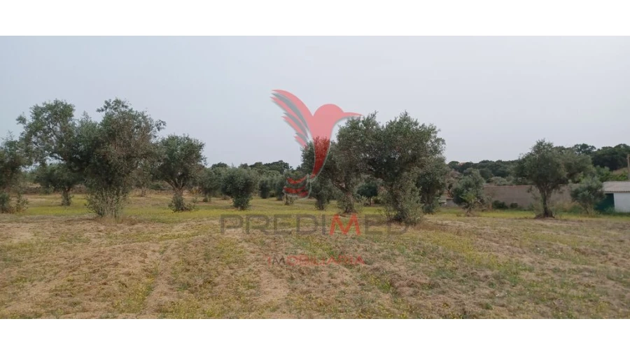 Terreno para Venda em Espírito Santo, Nossa Senhora da Graça e São Simão Foto 8