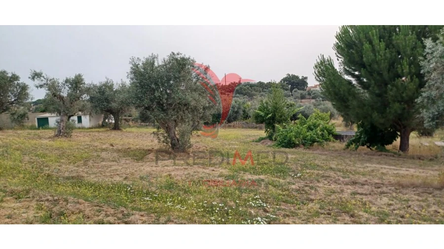 Terreno para Venda em Espírito Santo, Nossa Senhora da Graça e São Simão Foto 7