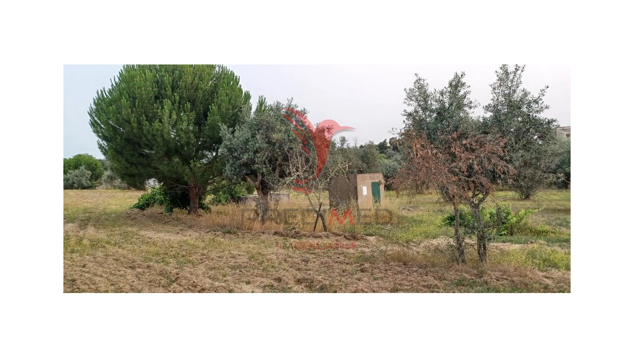 Terreno para Venda em Espírito Santo, Nossa Senhora da Graça e São Simão Foto 5