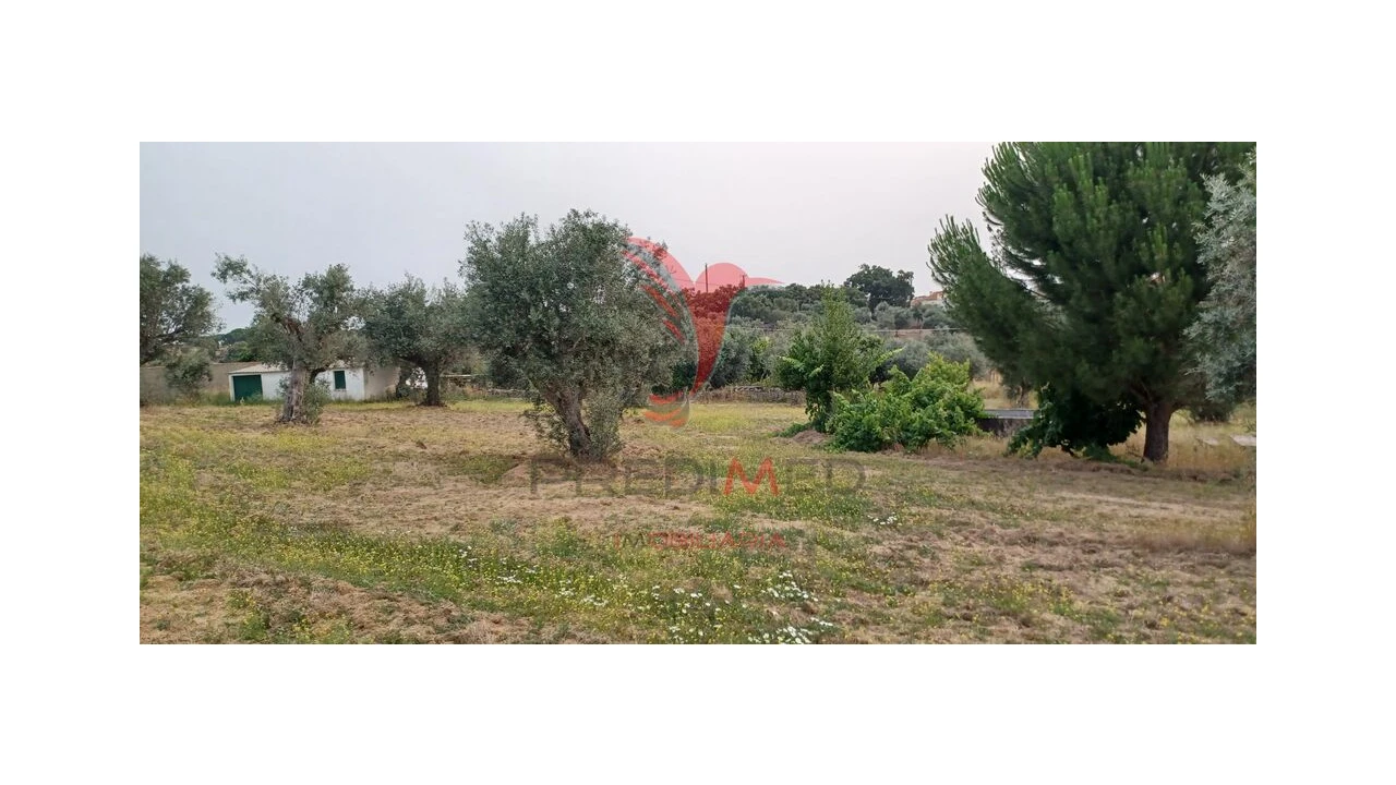 Terreno para Venda em Espírito Santo, Nossa Senhora da Graça e São Simão Foto 7