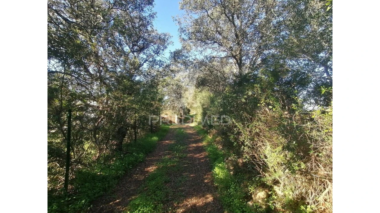 Terreno para Venda em Moncarapacho e Fuseta Foto 3