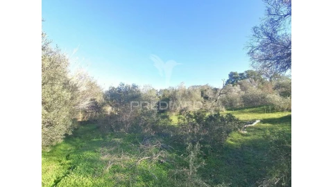 Terreno para Venda em Moncarapacho e Fuseta