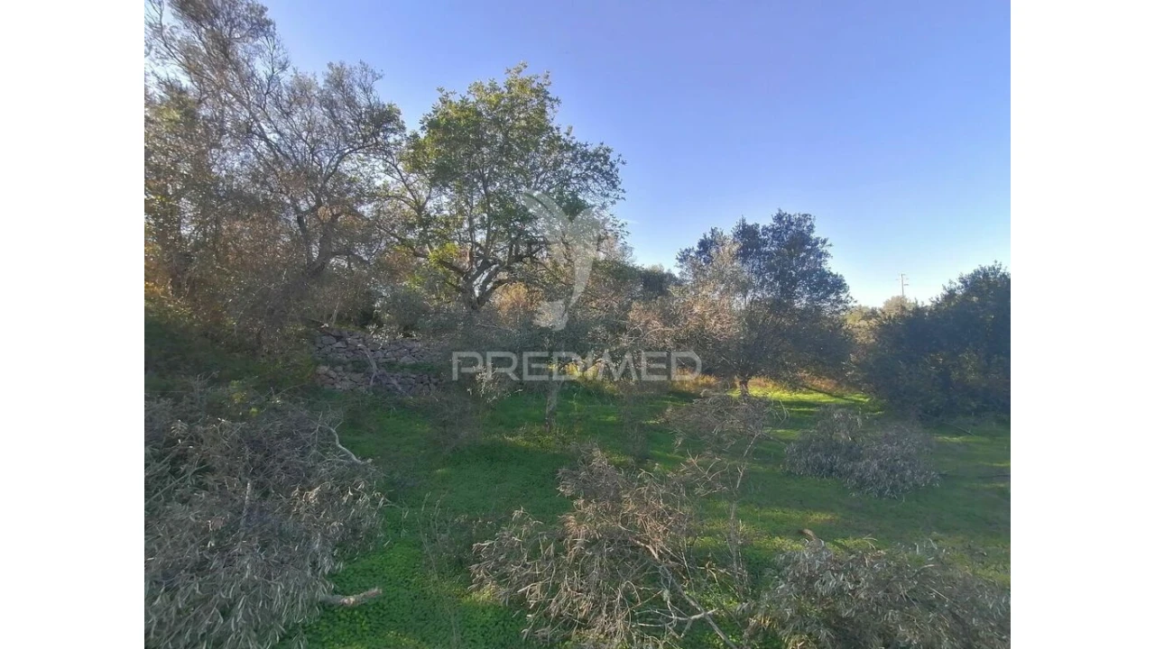Terreno para Venda em Moncarapacho e Fuseta Foto 5