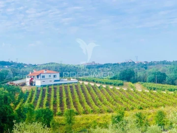 Terreno para Venda em São João Baptista e Santa Maria dos Olivais