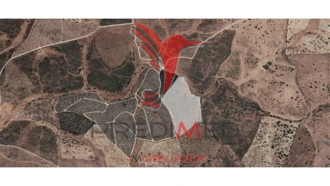 Terreno para Venda em Montalvão