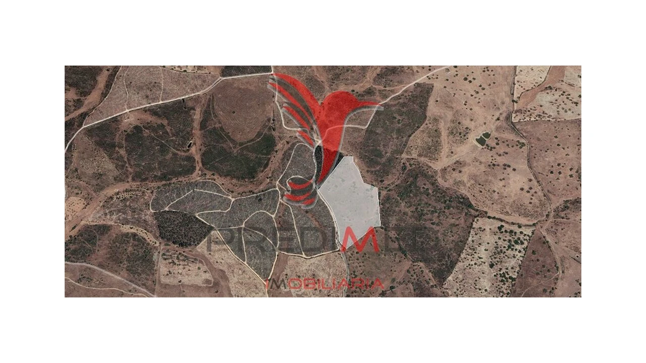 Terreno para Venda em Montalvão Foto 1