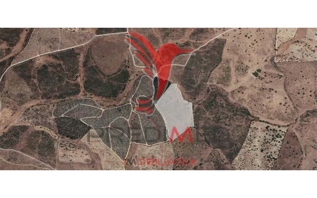 Terreno para Venda em Montalvão