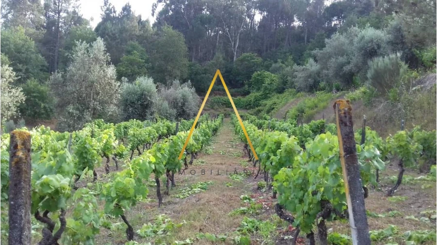 Moradia T5 para Venda em Silgueiros Foto 25