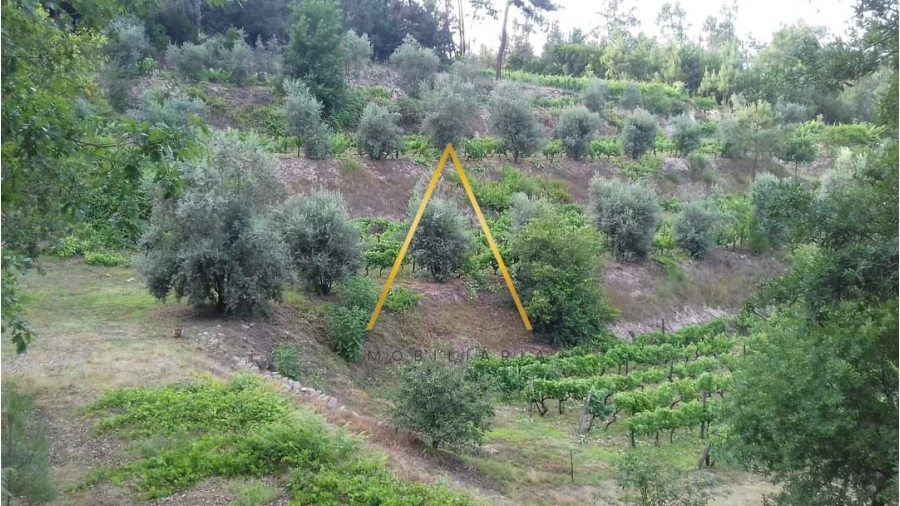 Moradia T5 para Venda em Silgueiros Foto 23