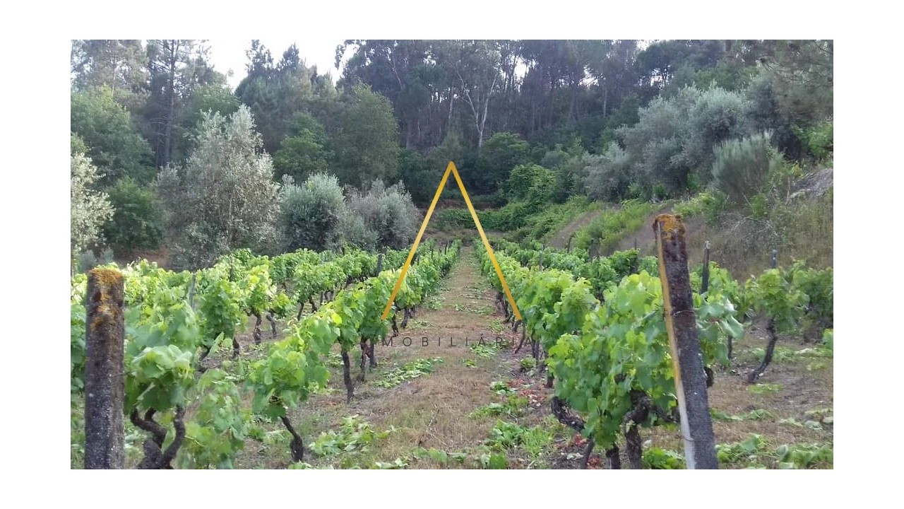 Moradia T5 para Venda em Silgueiros Foto 25