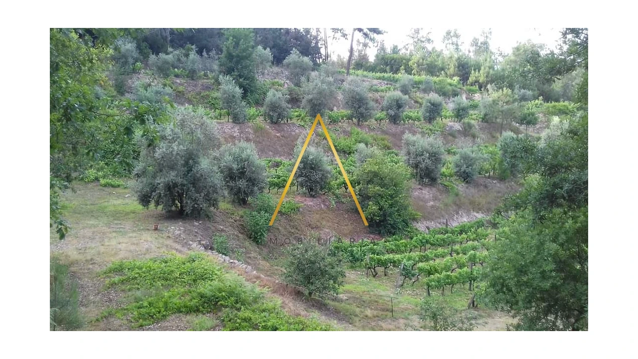 Moradia T5 para Venda em Silgueiros Foto 23