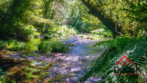 Terreno para Venda em São João de Lourosa