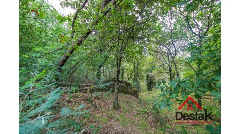 Terreno para Venda em São João de Lourosa
