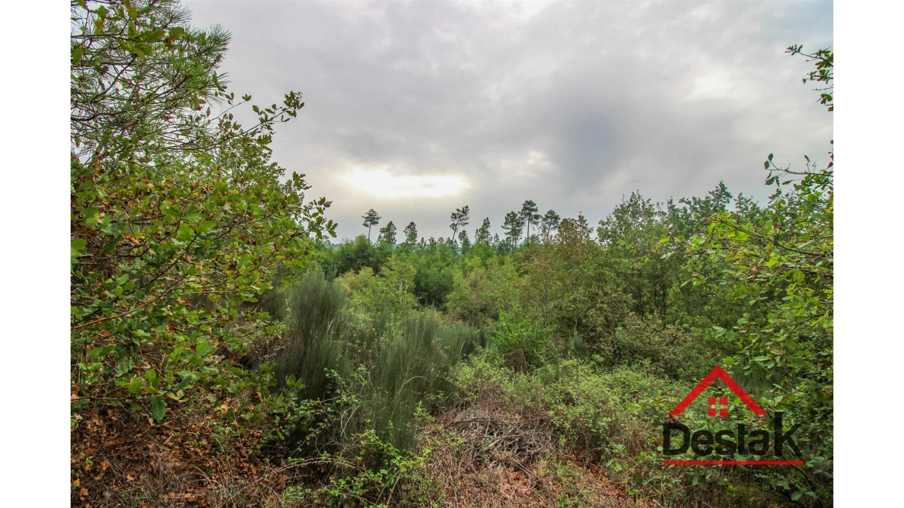Terreno para Venda em São João de Lourosa Foto 5