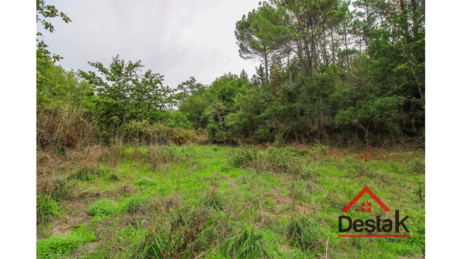 Terreno para Venda em São João de Lourosa Foto 12