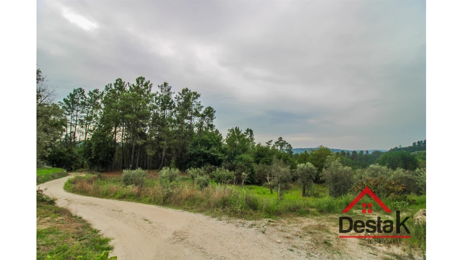 Terreno para Venda em São João de Lourosa Foto 14