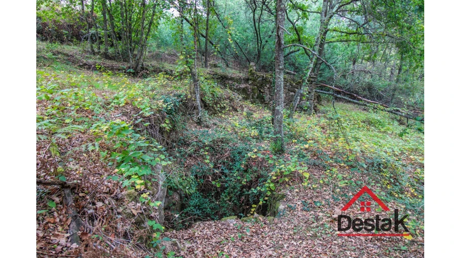 Terreno para Venda em São João de Lourosa Foto 9
