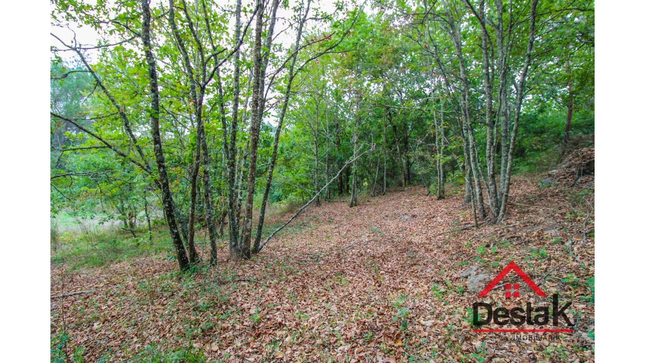 Terreno para Venda em São João de Lourosa Foto 13