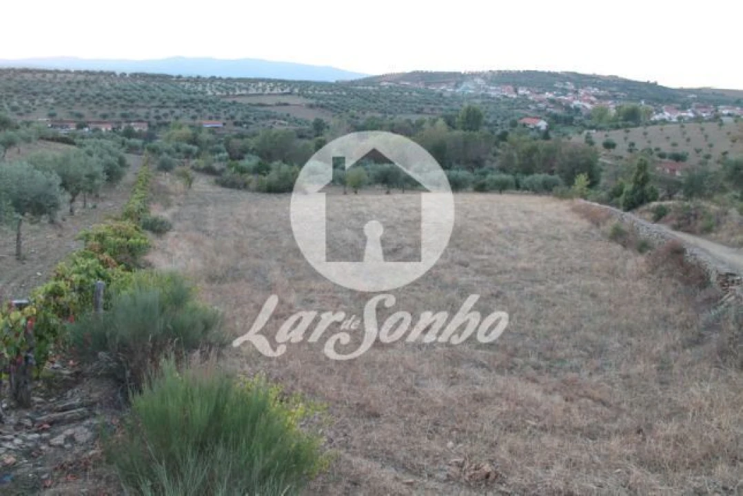 Quinta T3 para Venda em Lagoa Foto 3