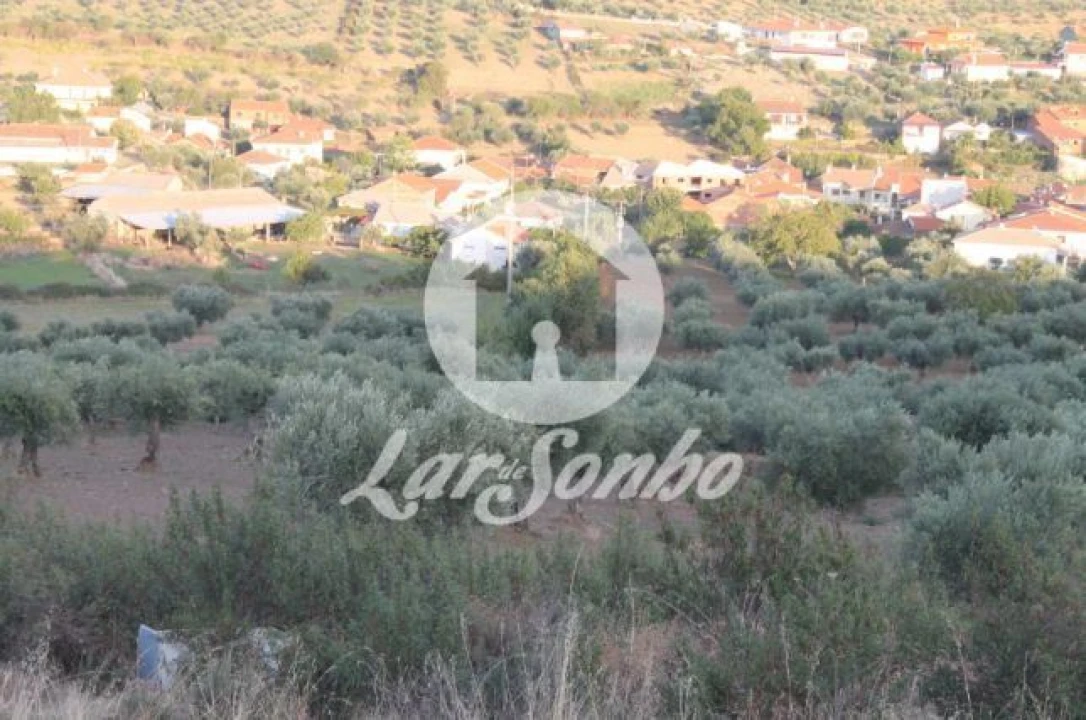 Quinta T3 para Venda em Lagoa Foto 4