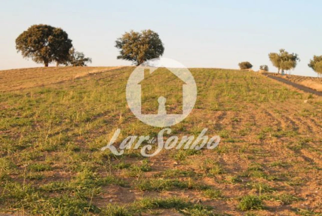 Quinta T3 para Venda em Lagoa Foto 5