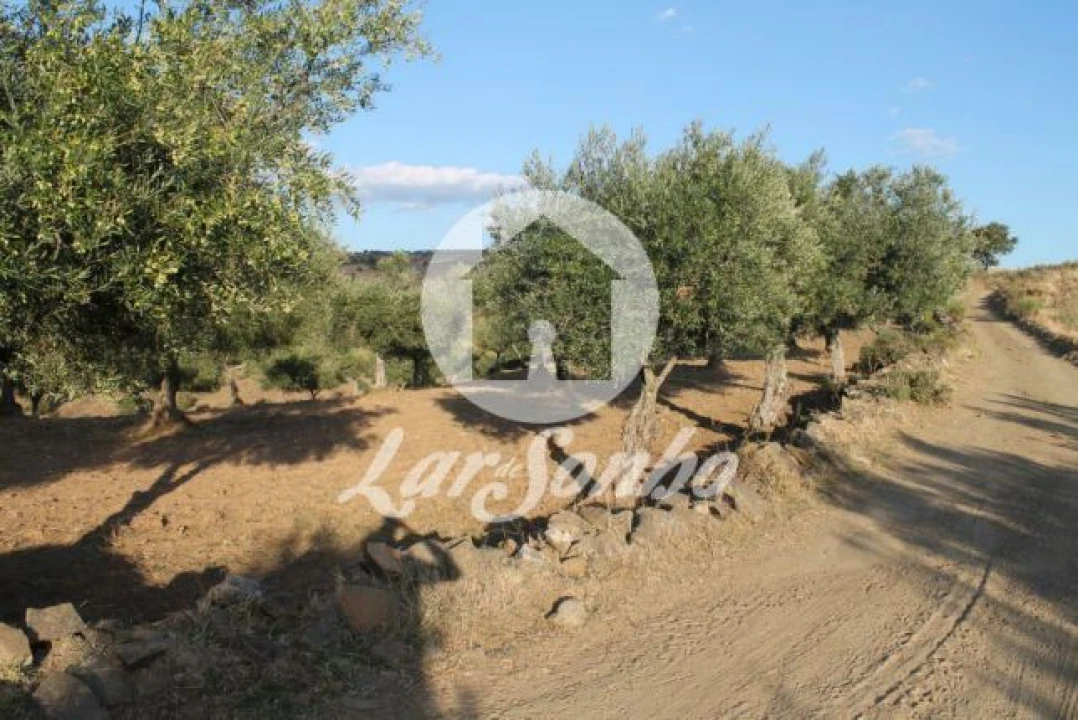 Quinta T3 para Venda em Lagoa Foto 8