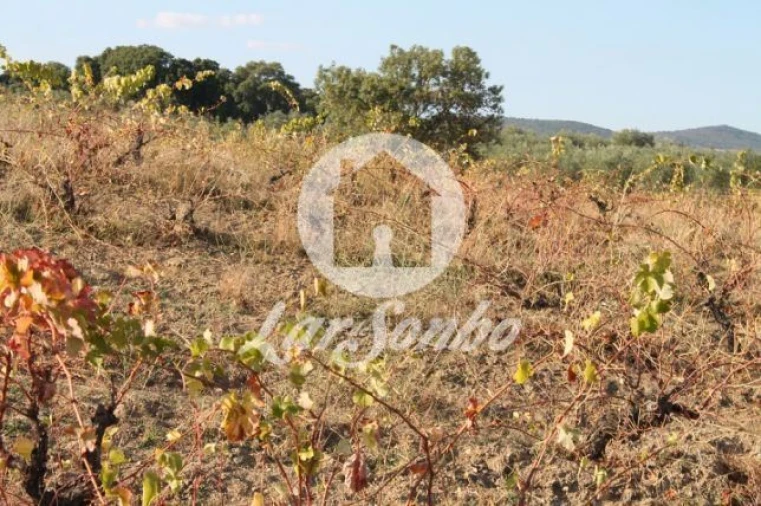 Quinta T3 para Venda em Lagoa Foto 6