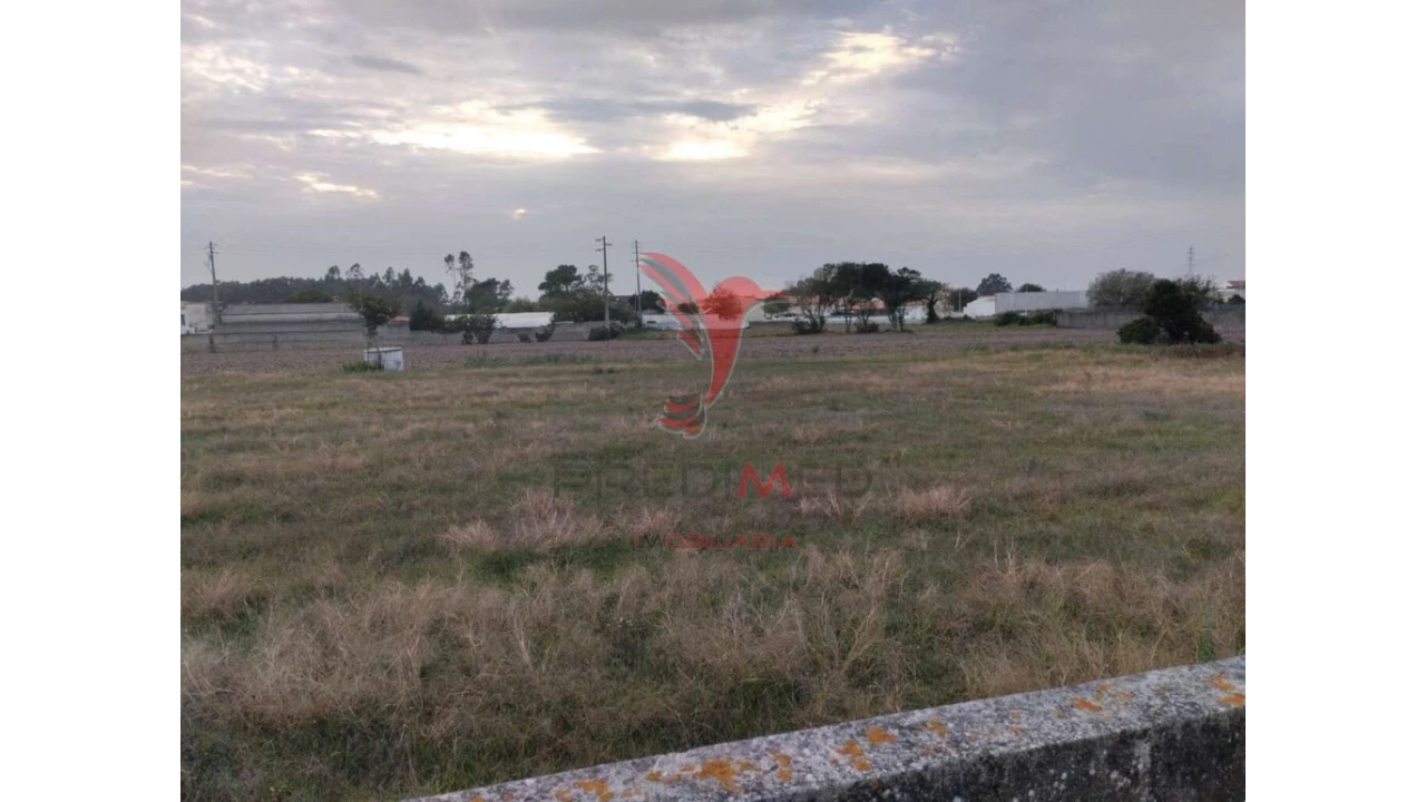 Terreno para Venda em Póvoa de Varzim, Beiriz e Argivai Foto 5