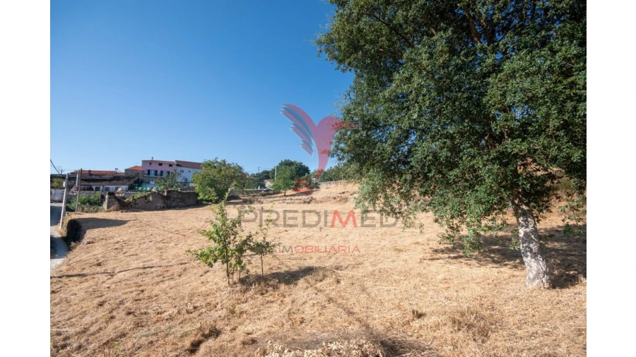 Terreno para Venda em Trancoso (São Pedro e Santa Maria) e Souto Maior Foto 4