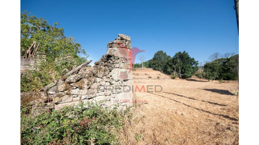 Terreno para Venda em Trancoso (São Pedro e Santa Maria) e Souto Maior Foto 6