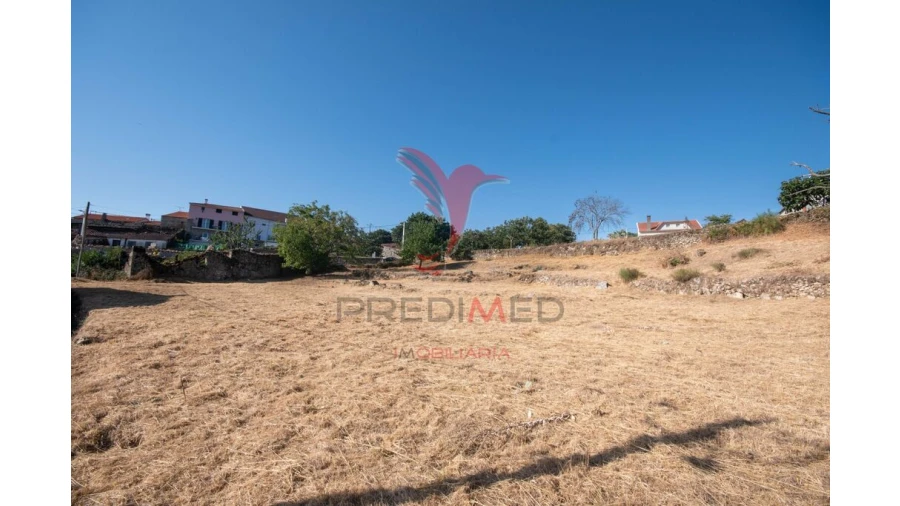 Terreno para Venda em Trancoso (São Pedro e Santa Maria) e Souto Maior Foto 2