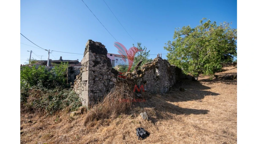 Terreno para Venda em Trancoso (São Pedro e Santa Maria) e Souto Maior Foto 5