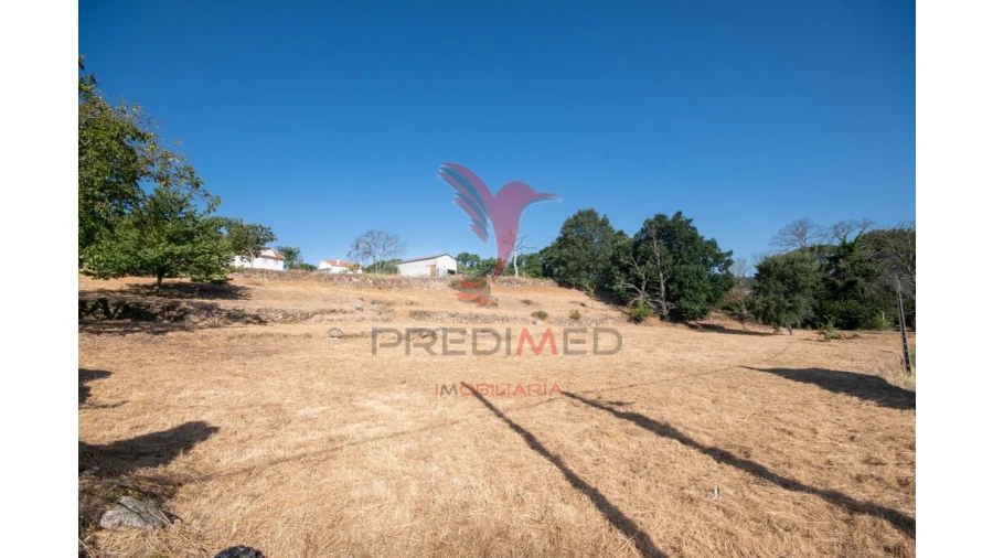 Terreno para Venda em Trancoso (São Pedro e Santa Maria) e Souto Maior Foto 7
