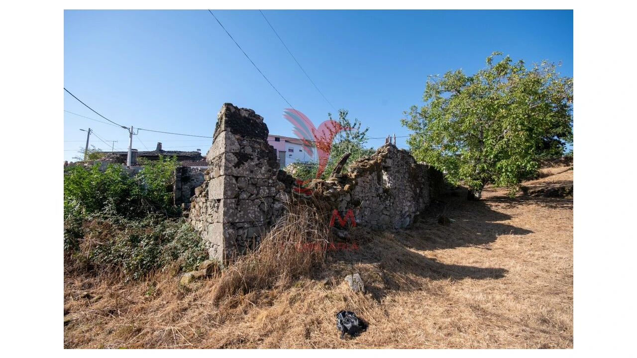 Terreno para Venda em Trancoso (São Pedro e Santa Maria) e Souto Maior Foto 5
