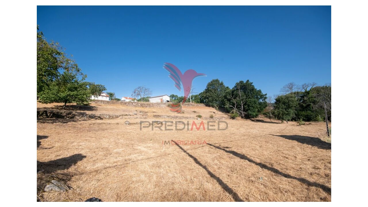 Terreno para Venda em Trancoso (São Pedro e Santa Maria) e Souto Maior Foto 7