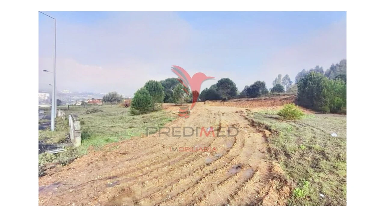 Terreno para Venda em Torres Novas (Santa Maria, Salvador e Santiago) Foto 19
