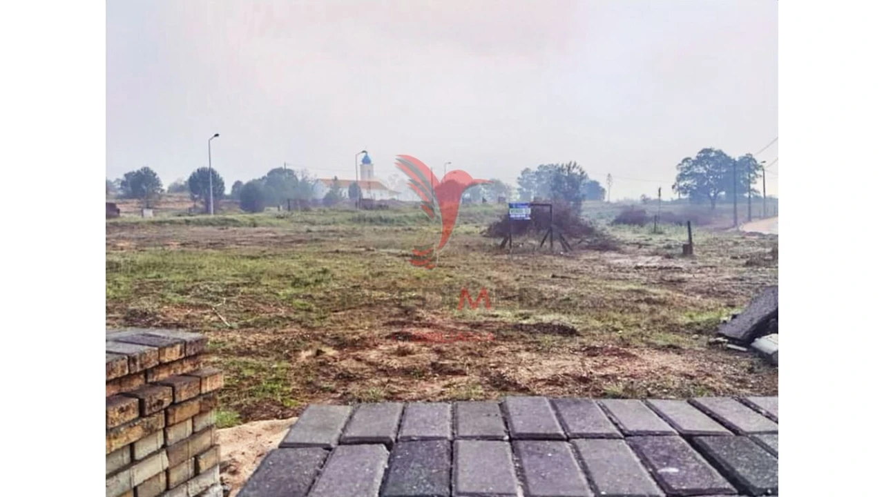 Terreno para Venda em Torres Novas (Santa Maria, Salvador e Santiago) Foto 9