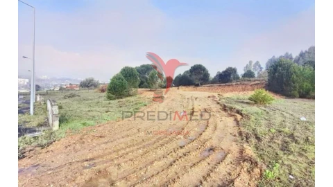 Terreno para Venda em Torres Novas (Santa Maria, Salvador e Santiago)