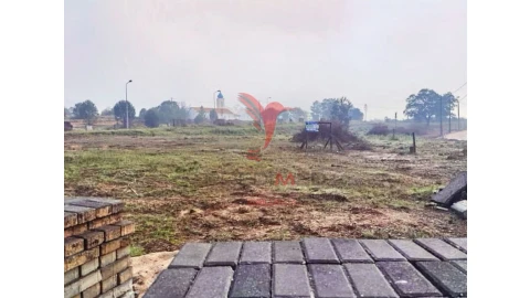 Terreno para Venda em Torres Novas (Santa Maria, Salvador e Santiago)
