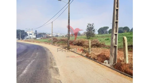 Terreno para Venda em Torres Novas (Santa Maria, Salvador e Santiago)