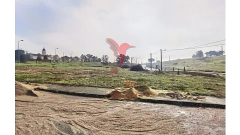 Terreno para Venda em Torres Novas (Santa Maria, Salvador e Santiago)