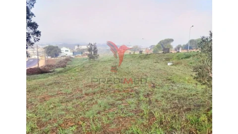 Terreno para Venda em Torres Novas (Santa Maria, Salvador e Santiago)